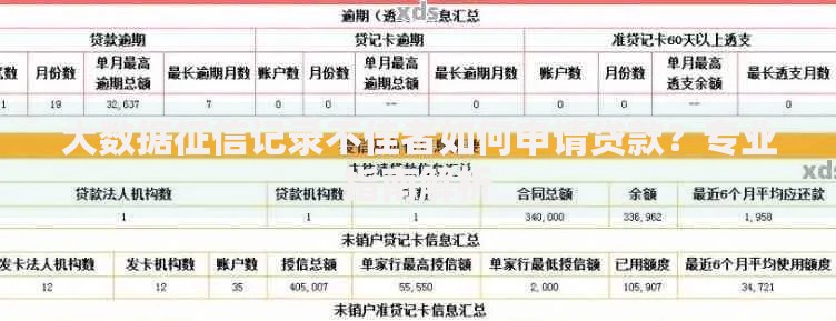 大数据征信记录不佳者如何申请贷款？专业指南解析