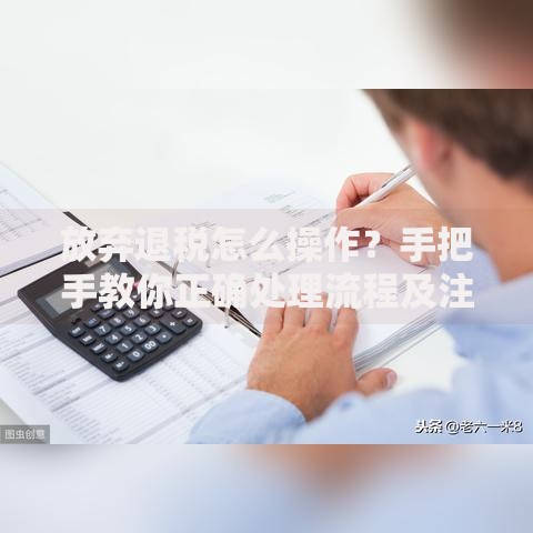 放弃退税怎么操作？手把手教你正确处理流程及注意事项