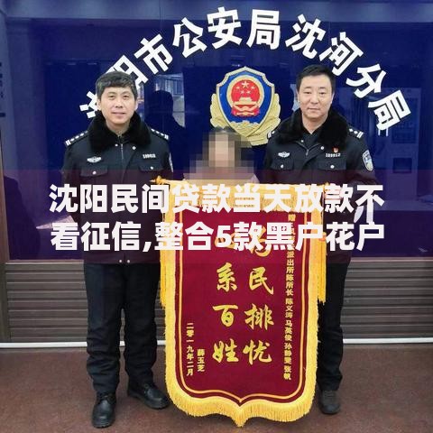 沈阳民间贷款当天放款不看征信,整合5款黑户花户下款的口子2025