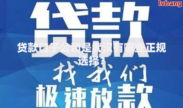 贷款口子公司是武汉有哪些正规选择？