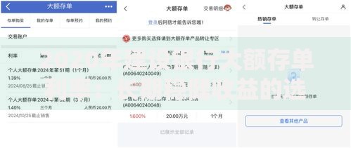2020年建设银行大额存单利率：长期稳健收益的选择与策略