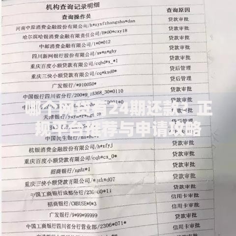 哪个网贷有24期还款？正规平台推荐与申请攻略