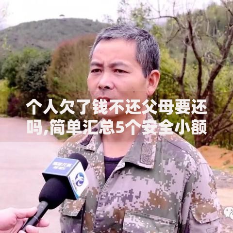 个人欠了钱不还父母要还吗,简单汇总5个安全小额贷款平台