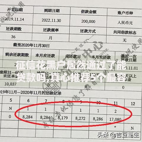 征信花黑户居然通过了能贷款吗,真心推荐5个最容易下款的贷款平台不看征信