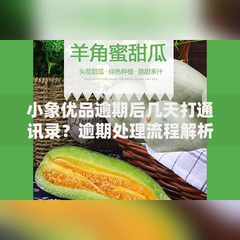 小象优品逾期后几天打通讯录？逾期处理流程解析