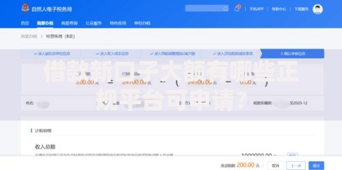 借款新口子大额有哪些正规平台可申请？
