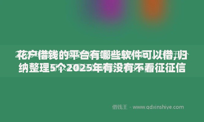 花户借钱的平台有哪些软件可以借,归纳整理5个2025年有没有不看征征信的网货平台