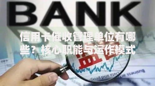 信用卡催收管理单位有哪些？核心职能与运作模式解析