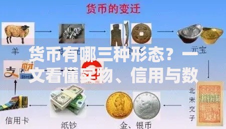 货币有哪三种形态？一文看懂实物、信用与数字演变