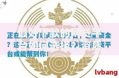 最好下款的网贷平台如何选择？资质审核与申请策略详解