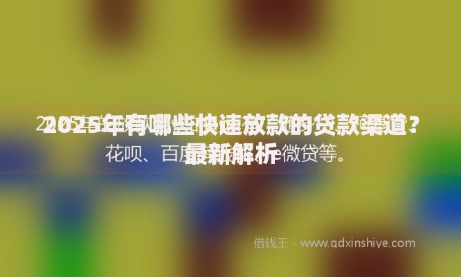 2025年有哪些快速放款的贷款渠道？最新解析