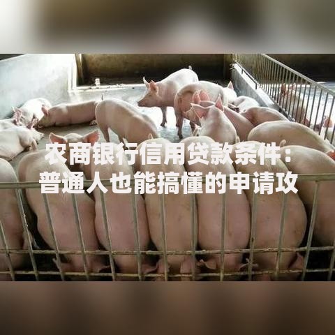 农商银行信用贷款条件：普通人也能搞懂的申请攻略