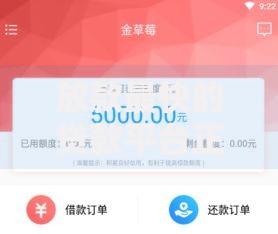 放款最快的贷款平台正规吗安全吗,简单汇总5个黑户征信花了能借钱的平台