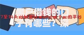 黑户借钱的口子有哪些？深度解析可靠渠道与风险防范