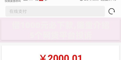 借1000元必下款,隆重介绍5个网贷平台投诉
