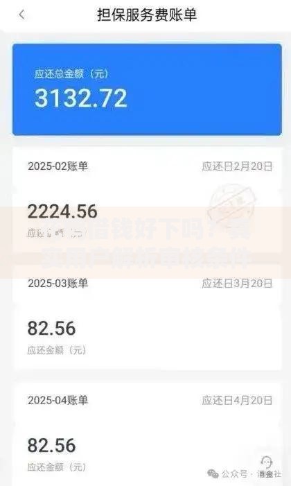 花鸭借钱好下吗？真实用户解析审核条件与放款流程