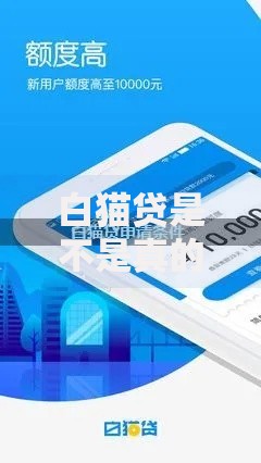 白猫贷是不是真的可以下款,为您介绍5款借钱软件不看征信的容易下款的