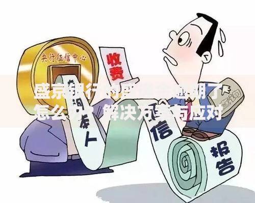 盛京银行的盛逸金逾期了怎么办?解决方案与应对指南 盛京银行的盛逸金逾期了怎么办?解决方案与应对指南