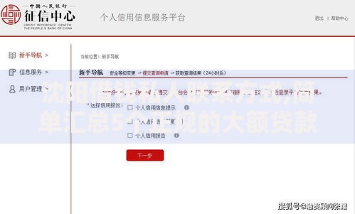 沈阳借钱私人联系方式,简单汇总5个正规的大额贷款平台