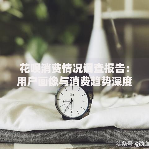花呗消费情况调查报告：用户画像与消费趋势深度解析