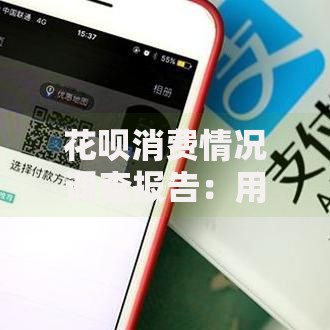 花呗消费情况调查报告：用户画像与消费趋势深度解析