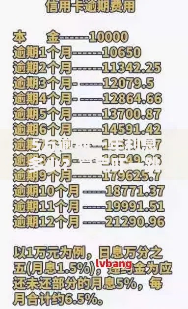 5万逾期一年利息多少？算完吓一跳！