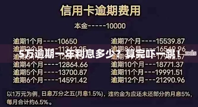 5万逾期一年利息多少？算完吓一跳！