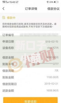 新口子小额贷款平台如何选择？申请条件与流程详解