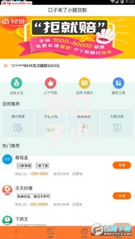 新口子小额贷款平台如何选择？申请条件与流程详解