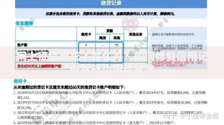 网上征信黑花了怎么办?如何修复信用记录并成功申请贷款 网上征信黑花了怎么办?如何修复信用记录并成功申请贷款