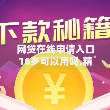 网贷在线申请入口16岁可以用吗,精心分析5款网贷全拒能下款的平台