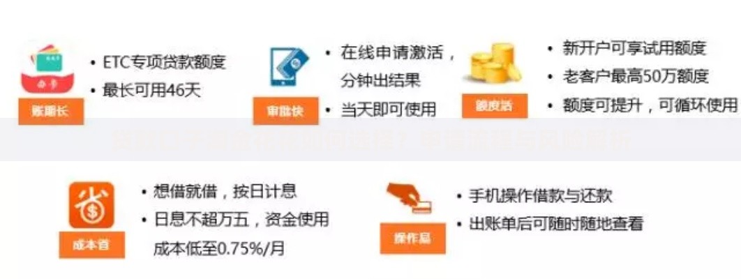 贷款口子淘金花花如何选择？申请流程与风险解析