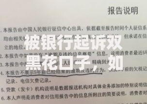 被银行起诉双黑花口子，如何化解法律风险？
