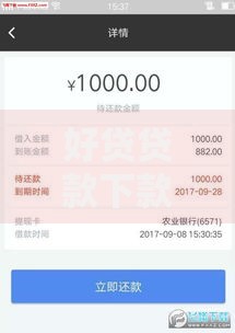好贷贷款下款过程中会遇到哪些问题？解决方案全解析