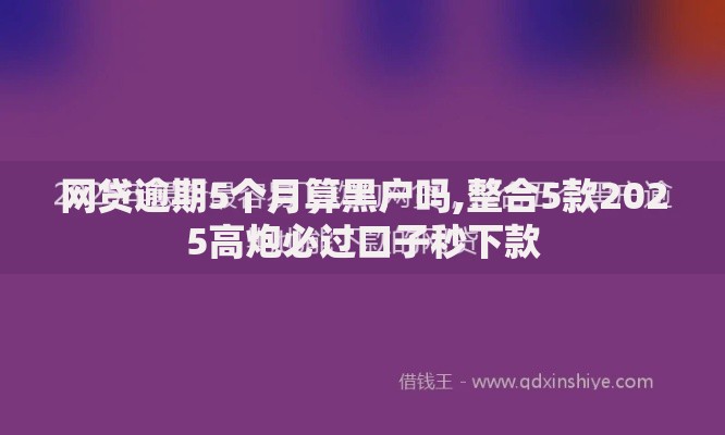 网贷逾期5个月算黑户吗,整合5款2025高炮必过口子秒下款