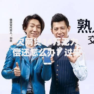 欠网贷14万无力偿还怎么办？过来人分享自救经验与实用建议