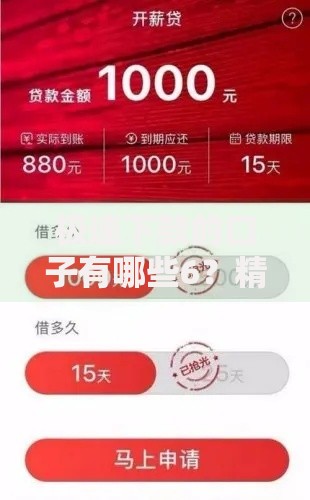 极速下款的口子有哪些6？精选高通过率渠道解析