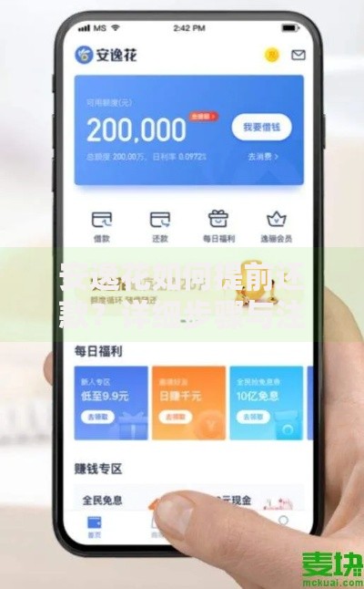 安逸花如何提前还款？详细步骤与注意事项解析