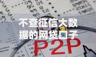 不查征信大数据的网贷口子有哪些靠谱选择？