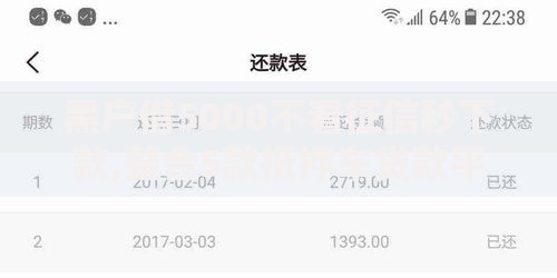黑户借5000不看征信秒下款,整合5款抵押车贷款平台好