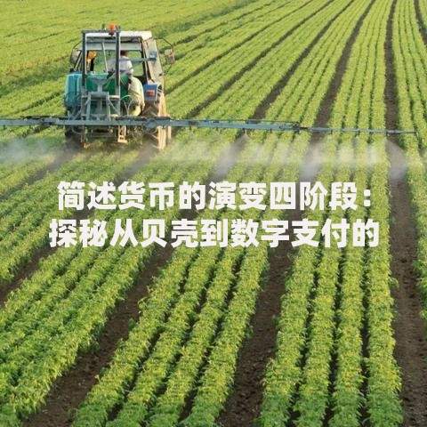 简述货币的演变四阶段：探秘从贝壳到数字支付的发展密码
