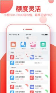 小额借贷平台下款最快：高效资金解决方案深度解析