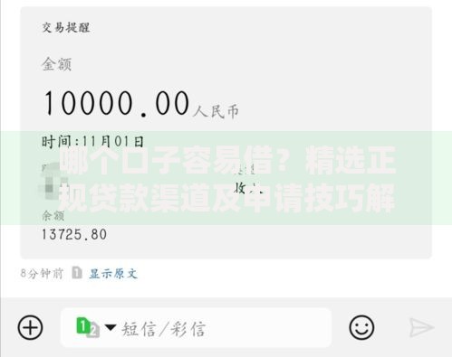 哪个口子容易借？精选正规贷款渠道及申请技巧解析