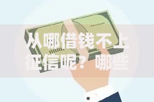 从哪借钱不上征信呢？哪些渠道可选？权威解析不上征信的借贷途径
