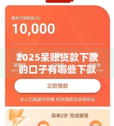 2025呆账贷款下款的口子有哪些下款条件？