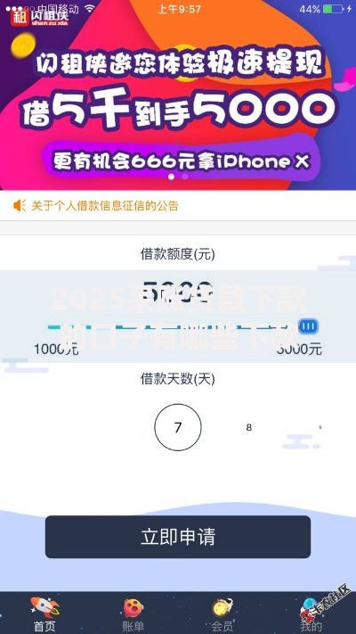 2025呆账贷款下款的口子有哪些下款条件？