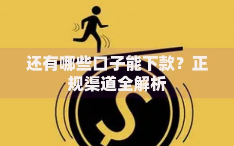 还有哪些口子能下款？正规渠道全解析