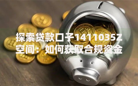 探索贷款口子1411035Z空间：如何获取合规资金方案