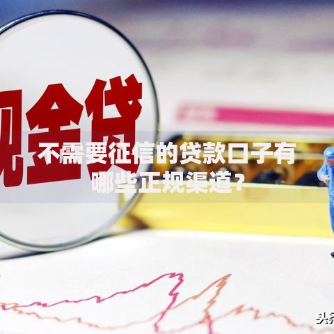 不需要征信的贷款口子有哪些正规渠道？