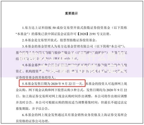 限额以上企业是什么意思？一文读懂它的核心定义与影响范围